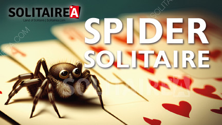 Spider Solitär spielen - Fordern und entspannen Sie Ihren Geist